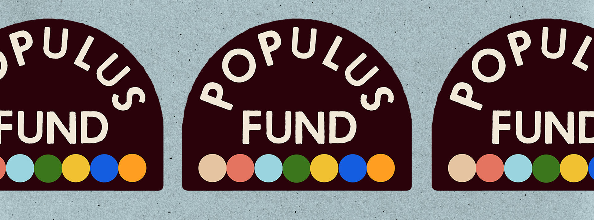 2024 Populus Fund Website Banner with the logo repeated 3 times on a blue background