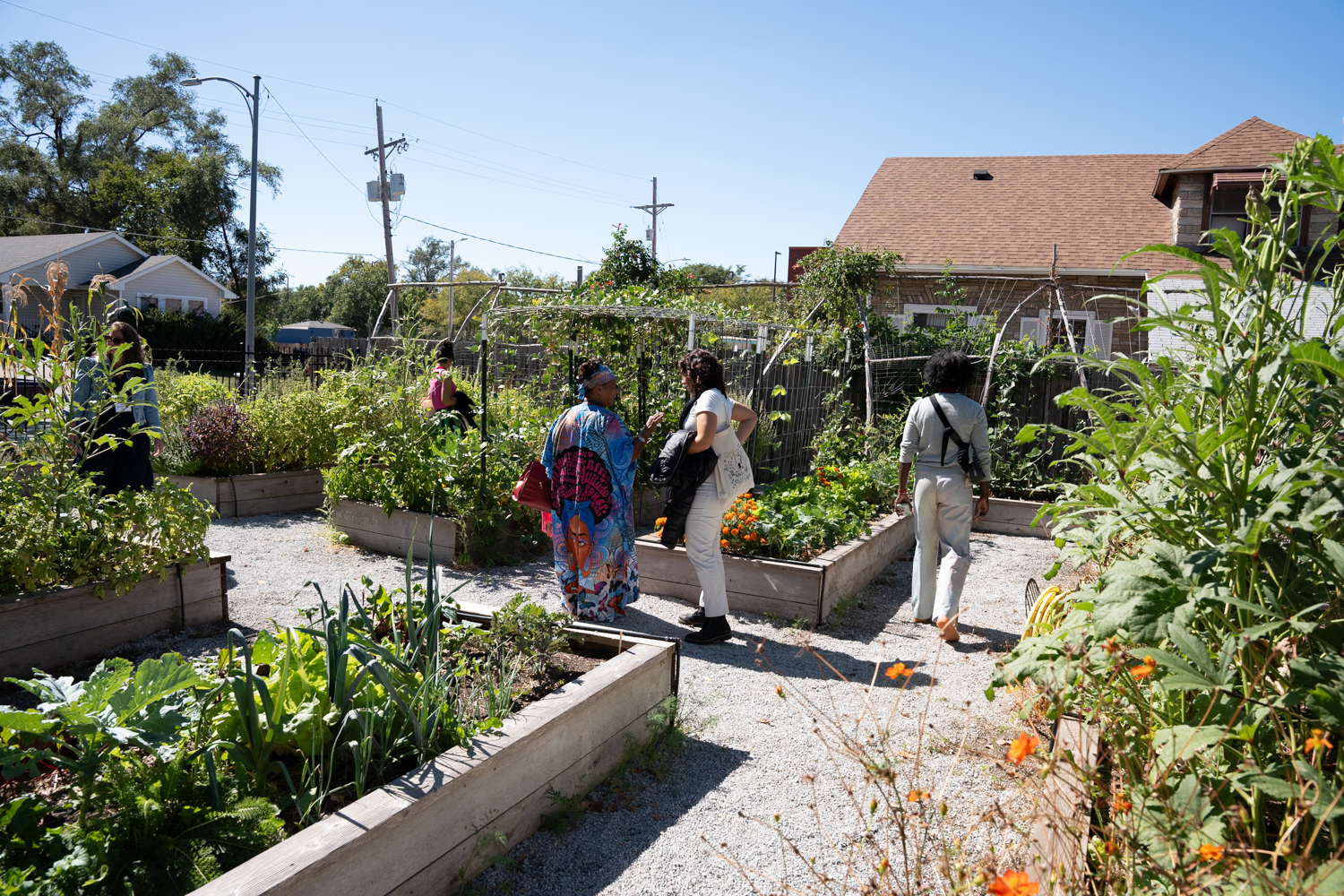 Abundance Garden Planting