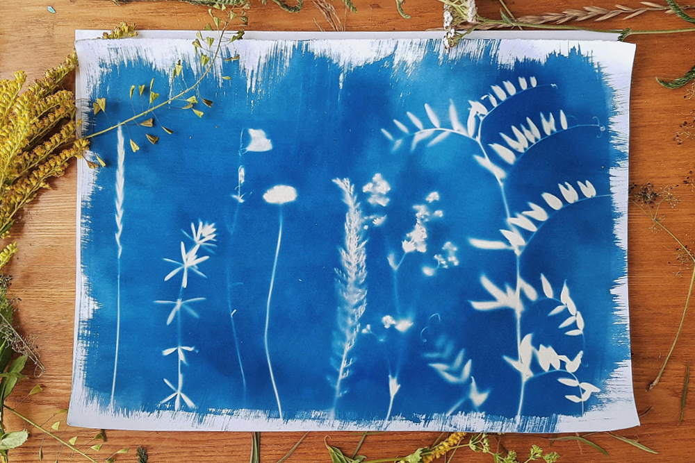 Garden2 Studio Thumb