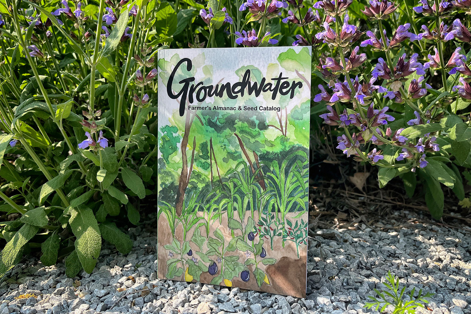 Groundwater almanac book sitting in front of purple sage flowers jpeg