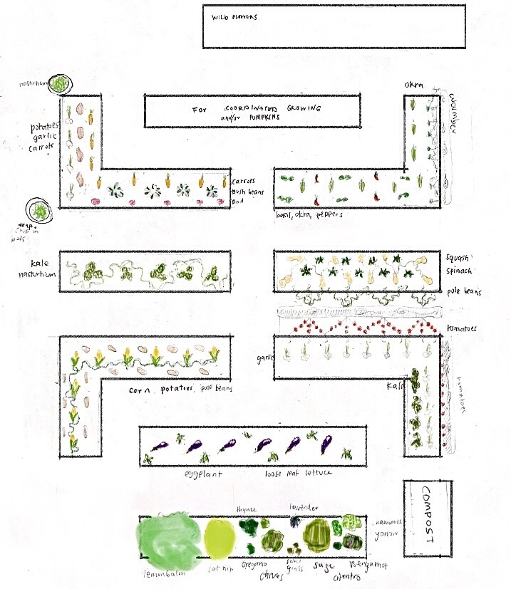 Hand drawn map of 2022 Abundance Garden