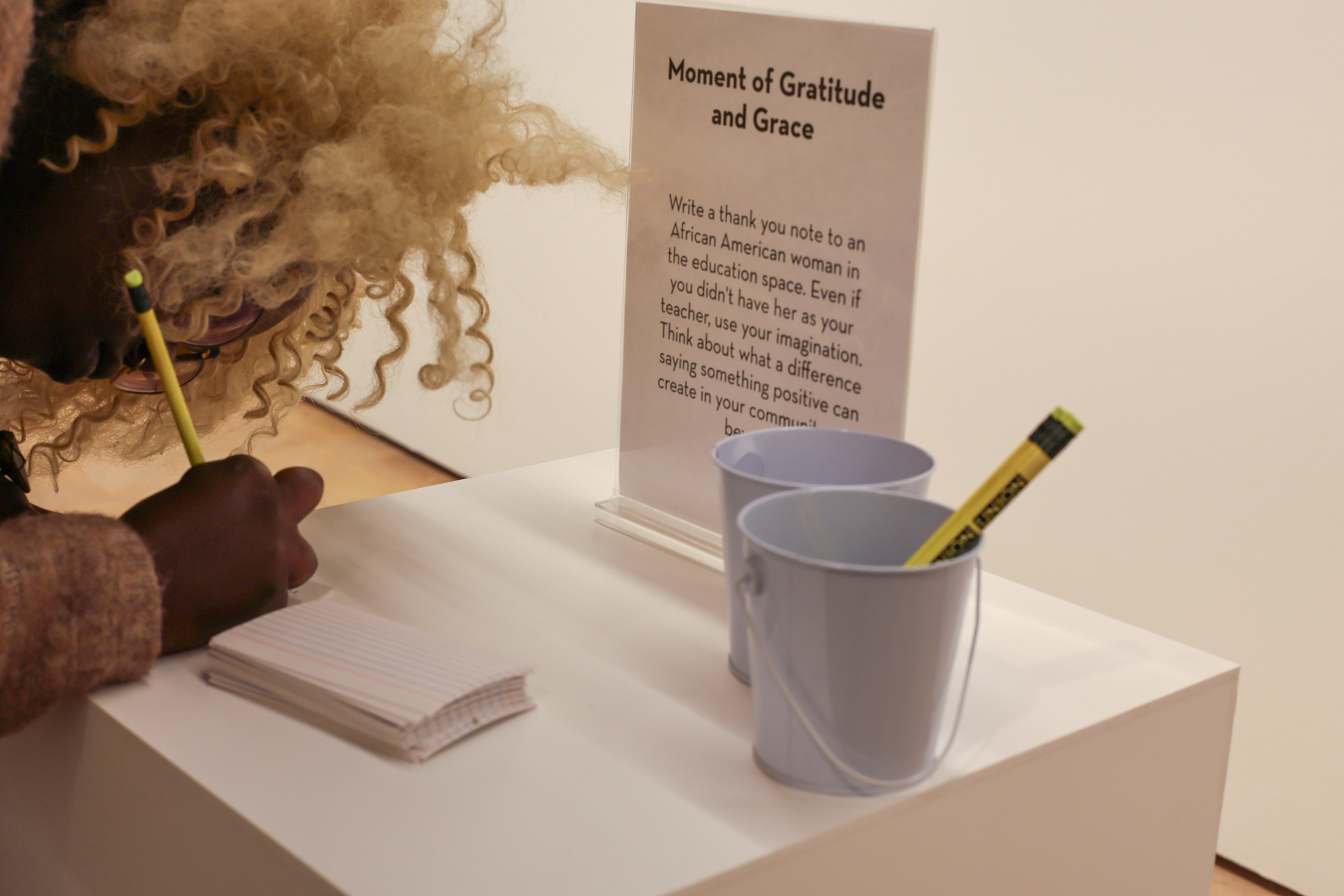 Lisa Brown Opening 20