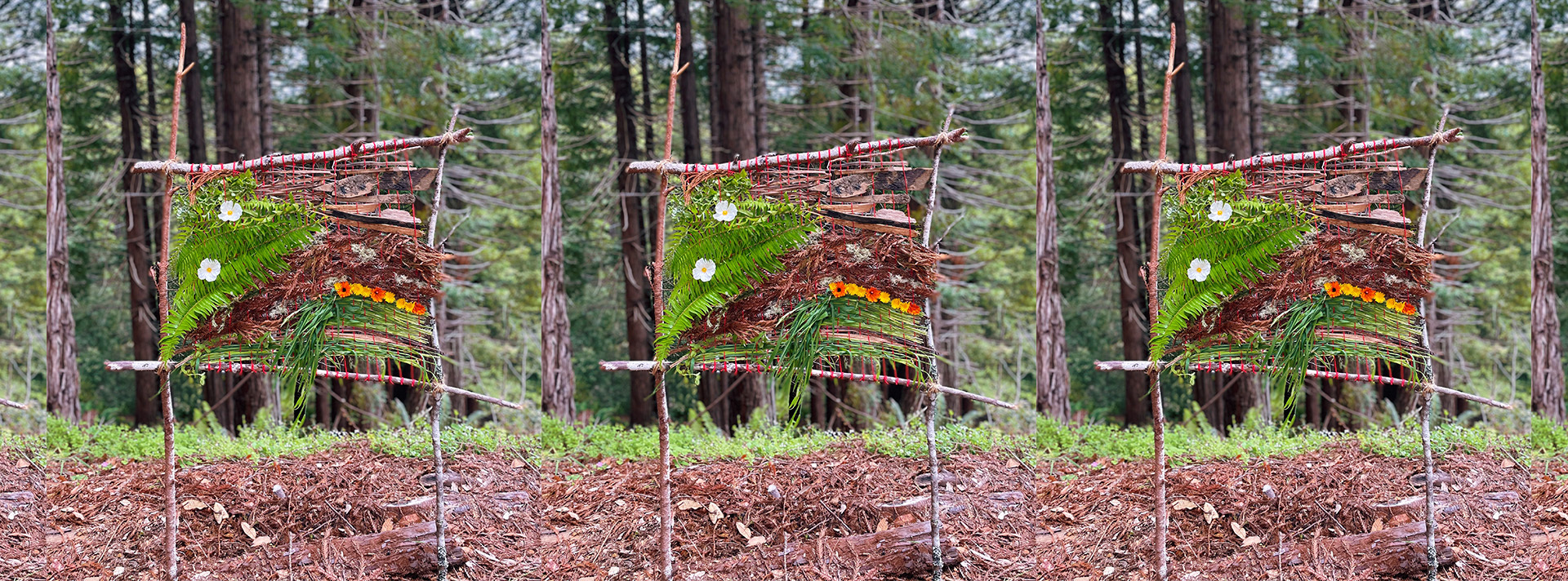 Nature Loom full width header Sticks standing on end hold a red net of thread that holds up leaves flowers and other organic material